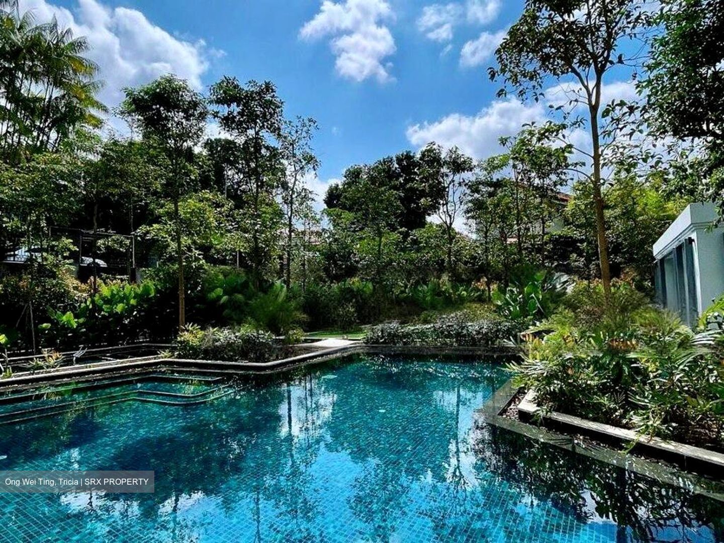 Mayfair Gardens (D21), Condominium #473809291